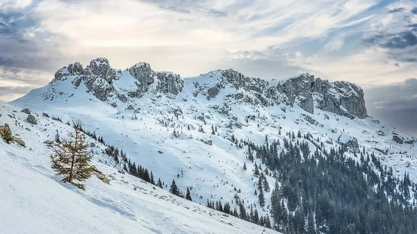 Montañas Bucegi Rumania Hermoso Paisaje Montañas Cárpatas Invierno — Foto de Stock