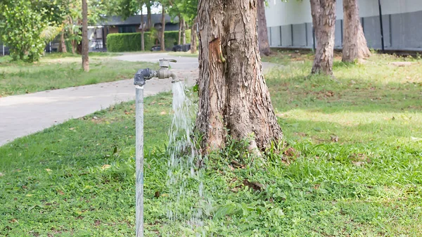 在花园里浇灌植物用的自来水 — 图库照片