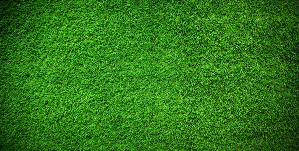 Groene Gras Vloer Achtergrond Top View Groen Gras Achtergrond Van — Stockfoto