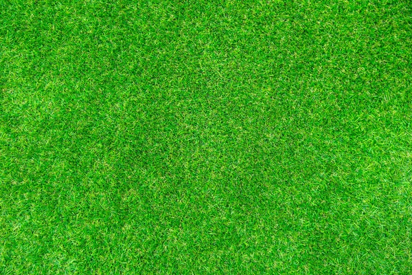 Açık hava sporları ve sporla ilgili işler için tasarlanmış yapay çimenlerin yeşil duvarı ve yeşil arka planı.