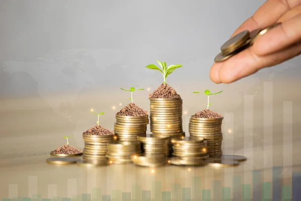 Business Growing Concept Success Young Plant Growing Coins Laid Graph — Foto de Stock