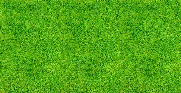 Green Grass Floor Texture Backgrounds Ideal Nature Backgrounds Design Green — Stock Fotó