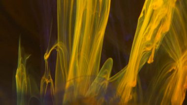 The golden color on a black background