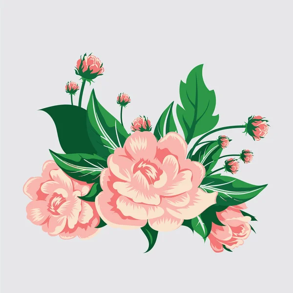 Camellia Flowers Design Illustration Vector — Stock Vector