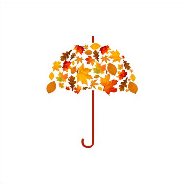 Sonbahar yaprakları, sonbahar mevsimi, yeşillik, doğa, yaprak, şemsiye, vektör illüstrasyonu