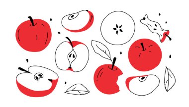 Kırmızı elma ve elma dilimleriyle ayarlanmış. El yapımı elementler, meyve çekirdeği ve elmanın yarısı. Karalama, basit.