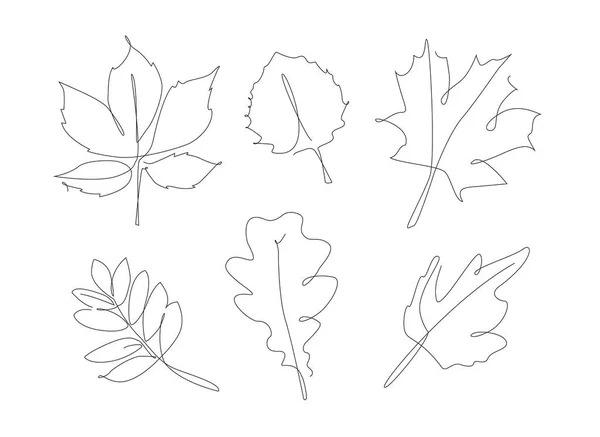 Forest Leaves One Line Set Autumn Leaf Linear Collection Simple — Stockvektor