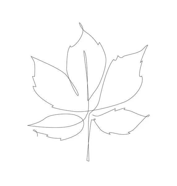 Line Art Maple Leaves Outline Vector Autumn Leaf One Line — Vetor de Stock
