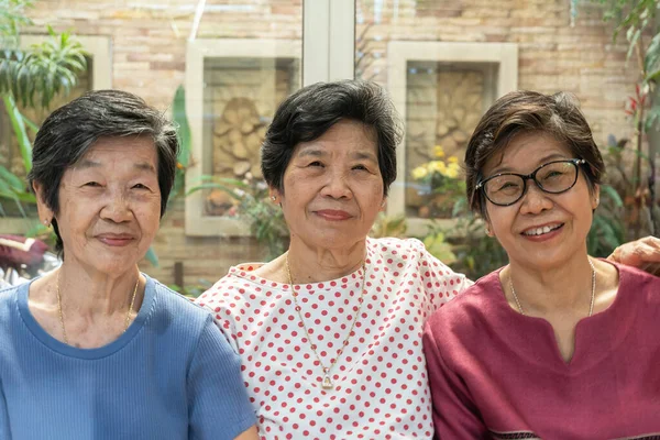 Invecchiamento Concetto Società Con Anziani Sani Anziani Asiatici Felice Benessere Foto Stock Royalty Free