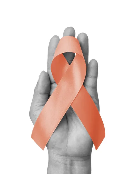 Uterine Gynecologic Cancer Awareness Ribbon Isolated Clipping Path Peach Bow — 图库照片