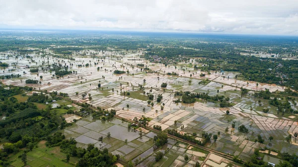 Campo Arroz Vista Aérea Sakon Nakhon Tailândia — Fotografia de Stock