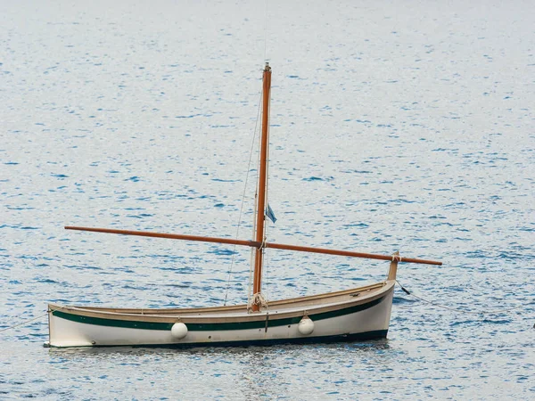 Gozzo Italian Riviera Fishing Boat Armed Lateen Sail Anchored Tranquil — Stock Photo, Image