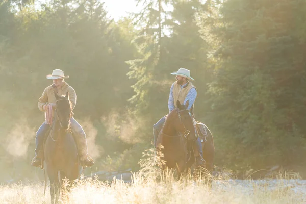 Cowboys Paarden Brits Columbia Canada Noord Amerika — Stockfoto