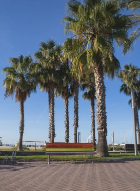 Liman kenarında palmiye ağaçları olan toplu LGTB + gezinti bankı