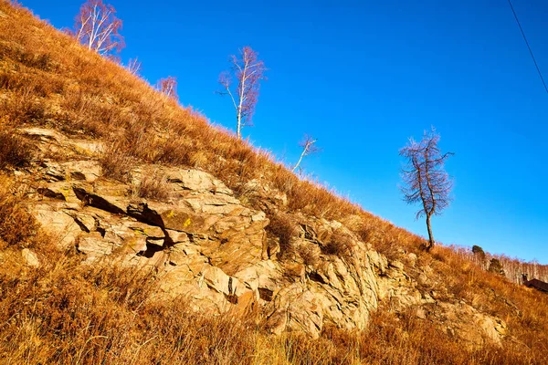 Nature landscape with golden hills with a blue sky with white clouds in a day or evening