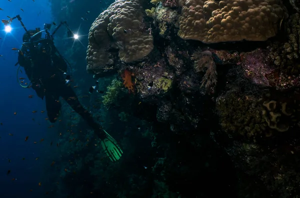 Plongeurs Explorant Monde Sous Marin Mer Rouge Egypte — Photo