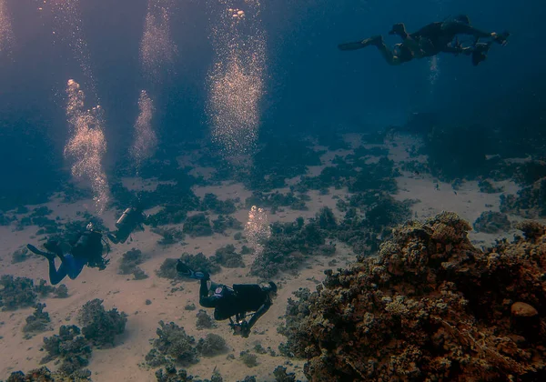 Nurkowie Odkrywający Podwodny Świat Morza Czerwonego Egipcie — Zdjęcie stockowe