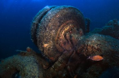 The wreck of the MS Zenobia ferry near Larnaca in Cyprus clipart