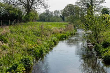Norfolk, İngiltere 'nin kırsal manzarası