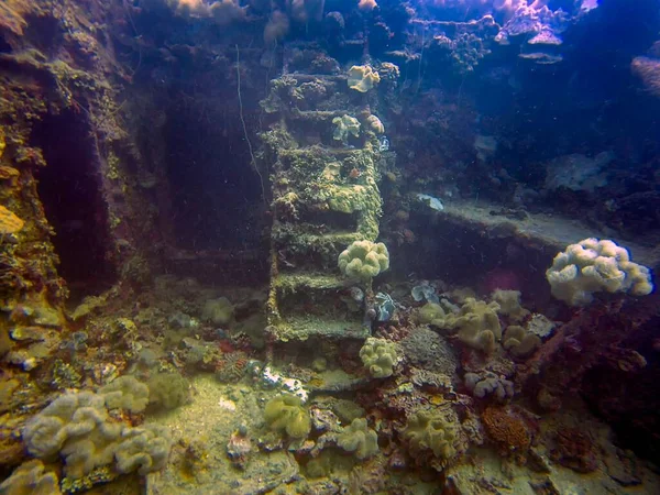 Stairs Cargo Ship Japanese Imperial Navy Sunk Truk Lagoon World — Stock Photo, Image