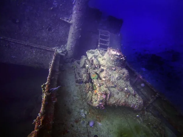 Dünya Savaşı sırasında Truk Lagoon 'da batan bir kargo gemisinin güvertesindeki 95 model Japon hafif tankı.