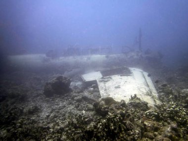 Chuuk State 'te (Truk Lagoon olarak da bilinir) bir Japon Hava Kuvvetleri Nakajima B6N 
