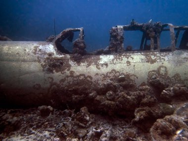 Chuuk State 'te (Truk Lagoon olarak da bilinir) bir Japon Hava Kuvvetleri Nakajima B6N 