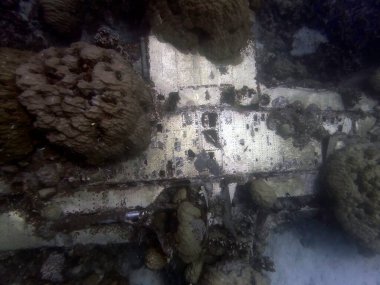 Dünya Savaşı sırasında Truk Lagoon 'daki Eten Adası yakınlarında düşen bir Japon Mitsubushi Zero enkazı.