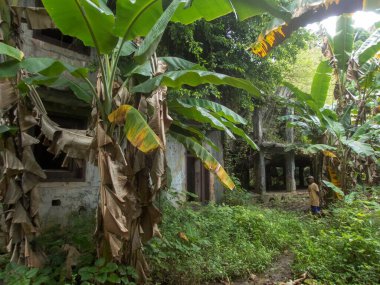 Wolrd II. Japon karargahının kalıntıları Eten Adası, Truk Lagoon 'da.