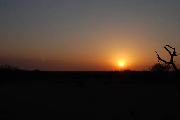 Die Sonne Geht Über Der Afrikanischen Landschaft Der Südafrikanischen Provinz — Stockfoto