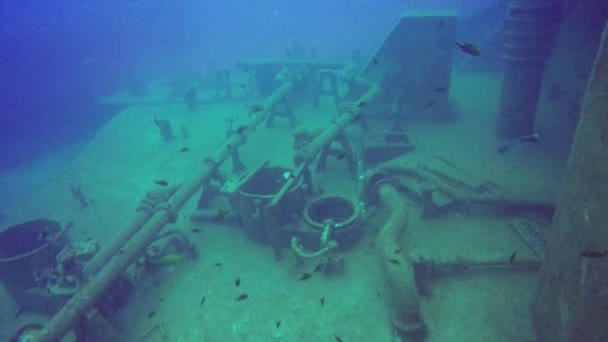 Wreck Faroud Coast Malta — Stock Video