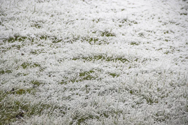 Heavy Snow Fall Garden England — Stock Photo, Image