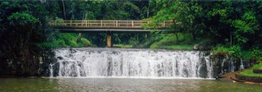 Atherton Tabloları 'ndaki Malanda Şelalesi, Queensland, Avustralya