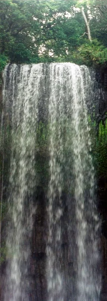 Les Chutes Millaa Millaa Dans Les Tablelands Atherton Queensland Prises — Photo