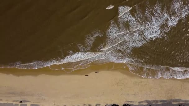 Drone Filmato Onde Che Infrangono Una Spiaggia Nel Suffolk Regno — Video Stock