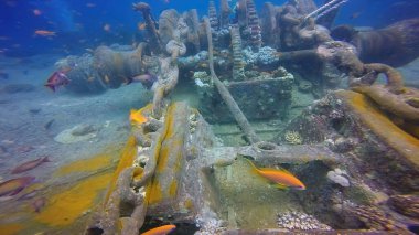 Kızıl Deniz 'deki SS Thistlegorm enkazı, Mısır