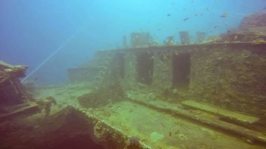 Kızıl Deniz 'deki SS Thistlegorm enkazı, Mısır