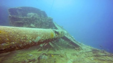 Kızıl Deniz 'deki SS Thistlegorm enkazı, Mısır