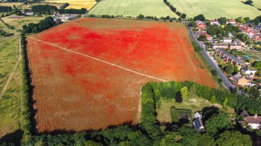 İngiltere 'nin Ipswich yakınlarındaki bir tarlada açan gelinciklerin hava görüntüsü.