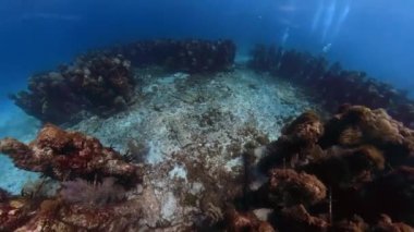 4k video footage of MUSA - The Museum of Underwater Art in Isla Mujeres near Cancun in Mexico