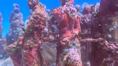 4k video footage of MUSA - The Museum of Underwater Art in Isla Mujeres near Cancun in Mexico