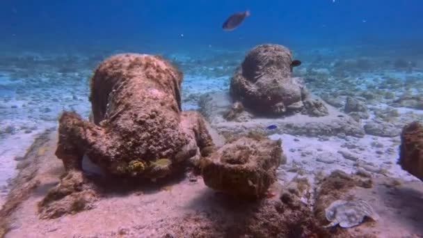 Video Footage Musa Museum Underwater Art Isla Mujeres Cancun Mexico — Stockvideo