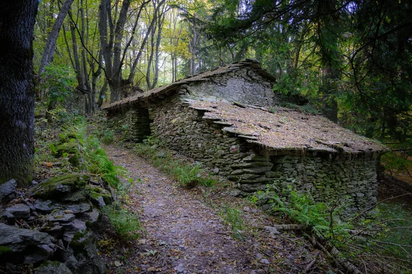 Velhas Cabanas Pedra Imersas Uma Floresta Decídua — Fotografia de Stock