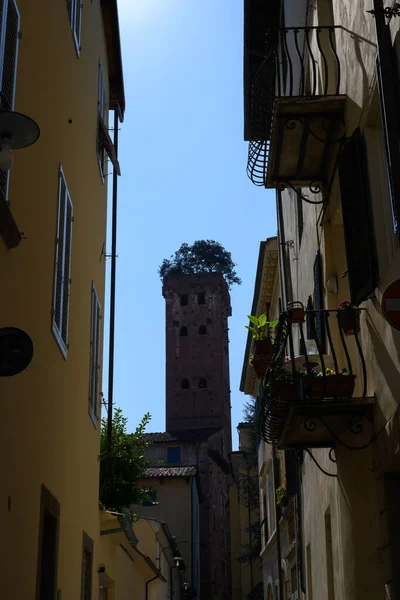 Lucca Maart 2022 Italië Het Historische Centrum Van Prachtige Toscaanse — Stockfoto