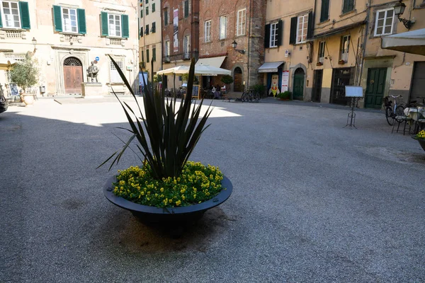 Лукка Март 2022 Италия Исторический Центр Великолепного Тосканского Города Старинными — стоковое фото
