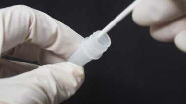 Pamuk tomurcuğu tutan eldiven COVID-19 veya siyah arkaplandaki koronavirüsü kontrol etmek için sıvı kimyasal silindir antijen test kitine yaklaşın