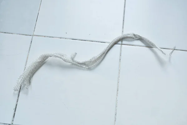 Φίδι Slough Δέρμα Στο Δάπεδο Κεραμιδιών Στο Σπίτι — Φωτογραφία Αρχείου