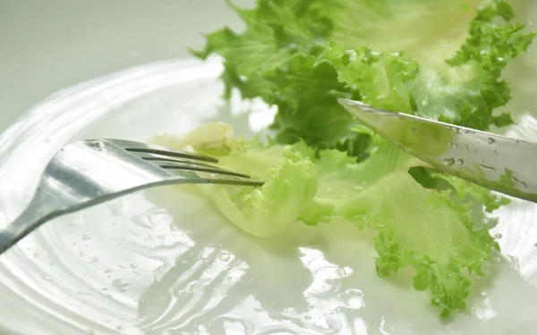 fork stabbing and knife slice to fresh lettuce with drop of water on plate