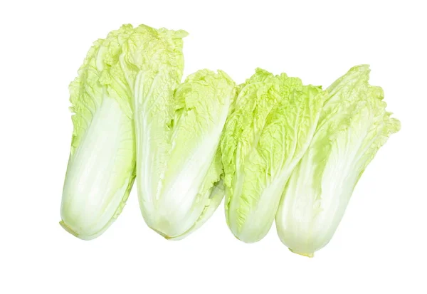 白を基調に水を盛り付けた新鮮な白白菜のサラダ — ストック写真