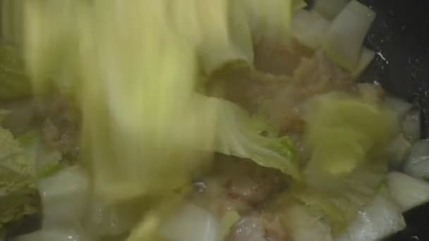 揚げスライス白菜と発酵ゴマ油豚肉電気調理鍋 — ストック動画